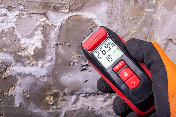 Best Mold Cleaning Services  in Highlands, NC