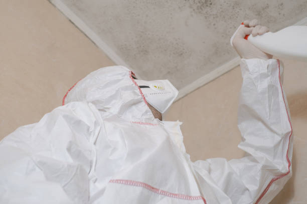 Best Mold Testing  in Highlands, NC