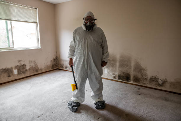 Highlands, NC Mold Removal Company